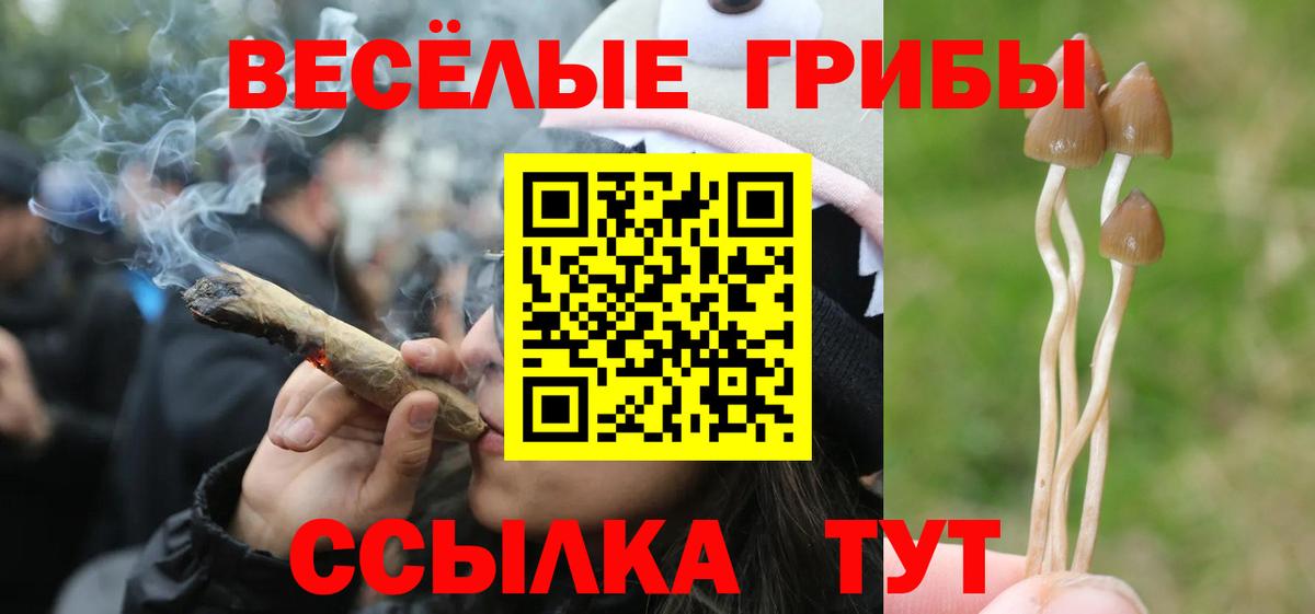 Псилоцибиновые грибы ЛСД Пенза